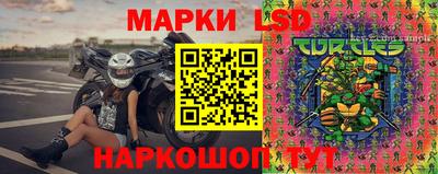 гидропоника Будённовск