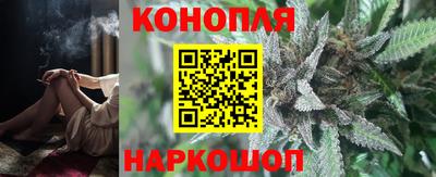 гидропоника Будённовск