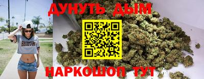 гидропоника Будённовск