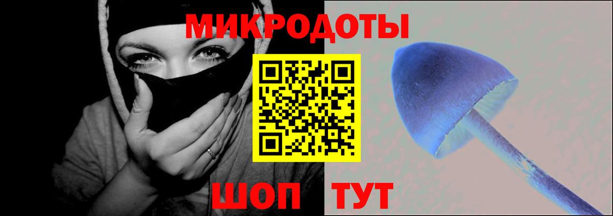 Галлюциногенные грибы MAGIC MUSHROOMS  Вход с VPN  Галлюциногенные грибы прущие грибы  Куйбышев 